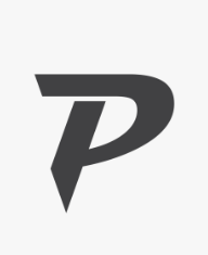 Precision Painting logo